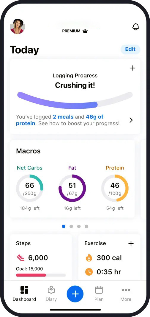 WellnessJourney App Interface